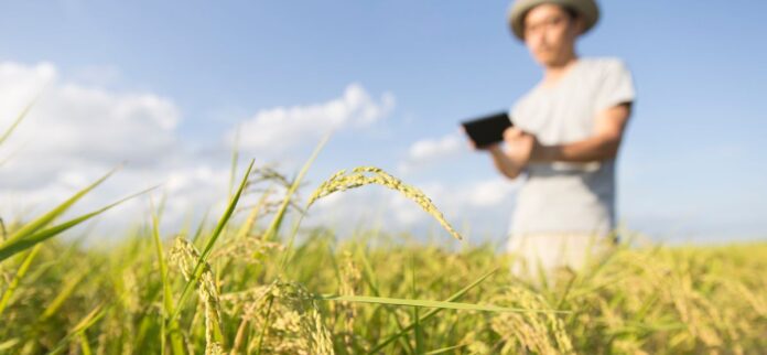 Contribuição do agronegócio em comunidades locais